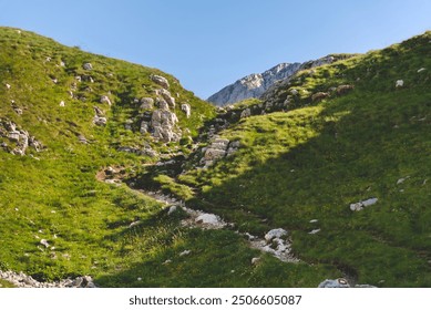 Mountain goats grazing near marked hiking trail to Bobotov Kuk summit in Durmitor National Park, Montenegro. Scenic mountainous landscape with wildlife along hillside trekking route on summer morning. - Powered by Shutterstock