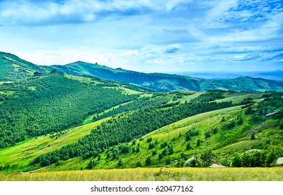 Mountain Green Hills Forest Switzerland Sky View