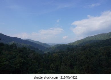 Mountain Green Valley Clear Sky Mon Ngo Chiang Mai Thailand 