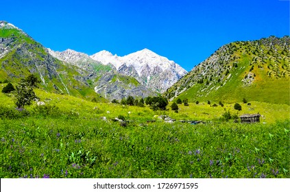 Mountain Green Valley Peak Snow