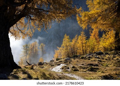 Mountain Hiking Trail Between Majestic Larch Trees Of Slemenova Spica, Julian Alps Slovenia In Autumn Colours