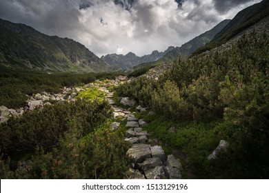 Mountain hiking trail lined with large gray stones covered with green moss surrounded by low mountain pine. In the distance visible mountains touching the sky and a steep path, curving among the rocks