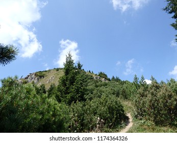 Mountain Hill, (Borisov - Greater Fatra Range In Slovakia)