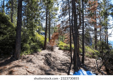 a mountain hillside filled with lush green and autumn colored trees and snow on the ground at Lake Tahoe Nevada State Park in Incline Village Nevada	