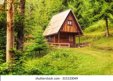 Mountain Hut Deep Inside Green  Forest.