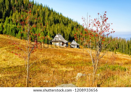 Similar – Mountain huts on green meadows in the Alps