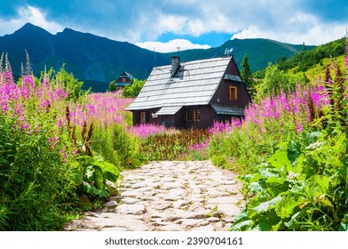 Mountain hut in Tatras. Picturesque meadow in the Gasienicowa valley. Amazing mountain flower (Epilobium angustifolium). Zakopane, Poland. Carpathians, Europe. Most beautiful mountain trails on world. - Powered by Shutterstock