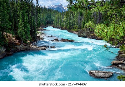Mountain Kicking Horse river in evergreen forest, Yoho National Park, British Columbia, Canada
