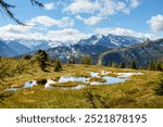 Mountain lake in an autumnal moor landscape