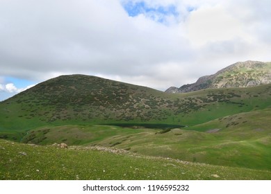 160 Montane grasslands and shrublands Images, Stock Photos & Vectors ...