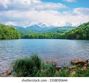 mountain lake in springtime. composite landscape of vihorlat lake an high tatas ridge of slovakia. sunny weather green foliage and snow capped peaks - Powered by Shutterstock