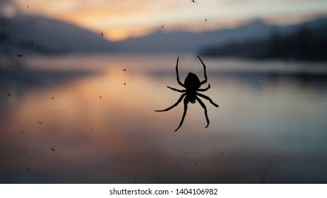 Mountain lake sunset and spider