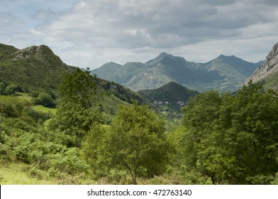 mountain landscape