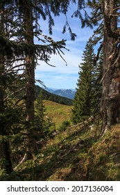 Mountain Landscape In The Allgäu Alps