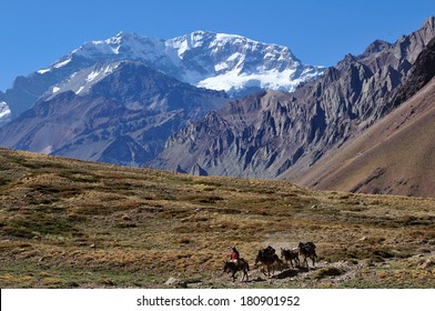 Mountain landscape in the Andes with hikers trekking, Argentina, South America 
