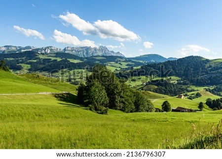 Mountains in Alpstein (Switzerland) with flower in foreground