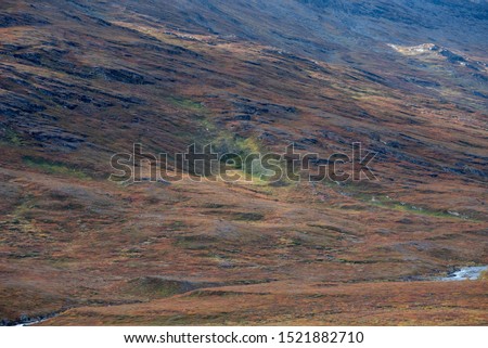 Similar – Foto Bild Schottisches Hochland