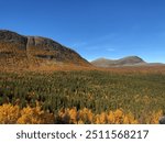 A mountain landscape with autumn foliage in Sweden. Dense forest covers the lower slopes, while the peaks rise under a clear blue sky, showcasing vibrant fall colors in the trees.