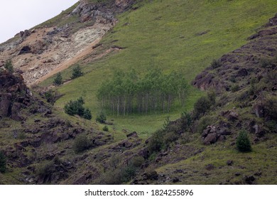 Mountain landscape with blue sky. Panoramic view of green hills.	