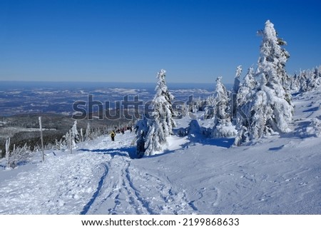 Mountain landscape with frozen trees by trail to Sniezka Peak. Silhouettes of people on trail. Karkonosze Mountans (Giant Mountains), Poland