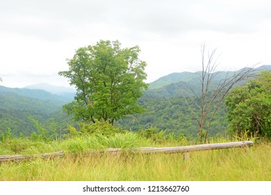 mountain landscape with grass - Shutterstock ID 1213662760