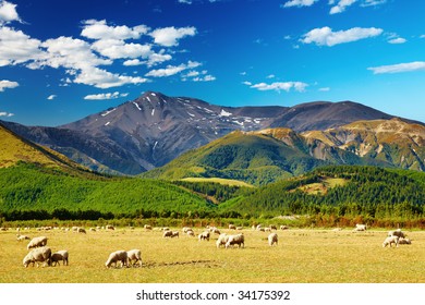 Mountain landscape with grazing sheep, New Zealand