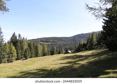 mountain landscape with a green meadow bordered by a coniferous forest with a wooden cabin in the distance - Powered by Shutterstock