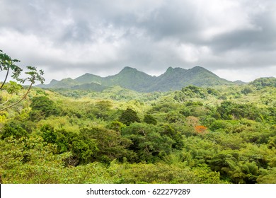 Mountain Landscape In Grenada, Caribbean