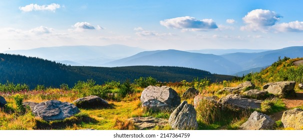 Mountain landscape in High Jesenik, view of the mountain range from the hiking trail on the top of Dlouhe Strane, sunny day.