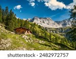 mountain, landscape, hut, nature, sky, alps, mountain hut, house, forest, summer, mountain range, milk wagon, karwendel, panorama, blue, grass, meadow, bavaria, alpine view, mountain landscape, summit