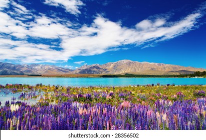 Mountain Landscape With Lake And Flowers, New Zealand