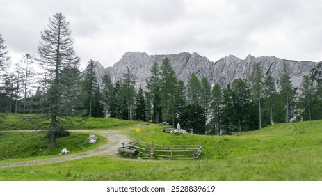 Mountain landscape of a lush green meadow, surrounded by tall pine trees, with majestic rocky mountains in the background under an overcast sky, capturing the essence of outdoor adventure - Powered by Shutterstock