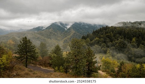 Mountain landscape with misty peaks and dense forests, frame by autumn foliage under an overcast sky - Powered by Shutterstock