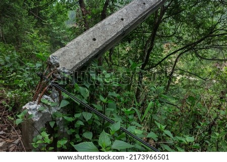 Similar – Image, Stock Photo Holzpaddel lehnt, halb von der Trauerweide bedeckt, an der sonnenwarmen Steinmauer.