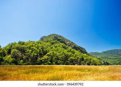 Mountain Landscape On The River Bank