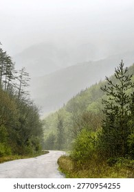 Mountain Landscape with Pine Trees and Cloudy Rainy Foggy Sky . Balkan Mountains , Bulgaria 