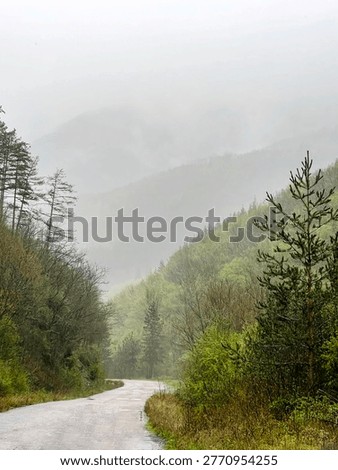 Mountain Landscape with Pine Trees and Cloudy Rainy Foggy Sky . Balkan Mountains , Bulgaria 