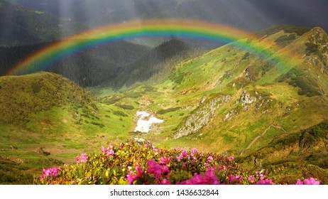 Mountain landscape with a rainbow over flowers