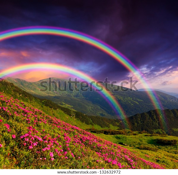 花に虹をかけた山景色 の写真素材 今すぐ編集