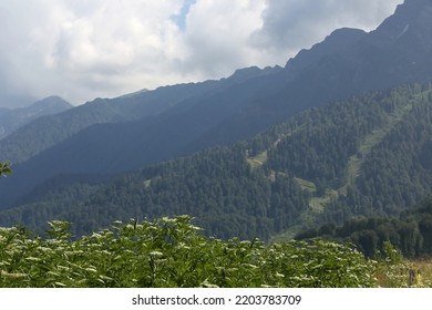 Mountain Landscape, Rosa Khutor Alpine Resort, Sochi, Russia 