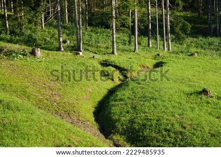 Similar – Image, Stock Photo finally free Meadow Calm