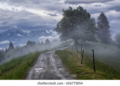 Mountain Landscape Shortly After Spring Rain. Slovenian Alps. Forest Road, Venerable Tree, Fog, Clouds And Peaks. Village Jamnik Slovenia.