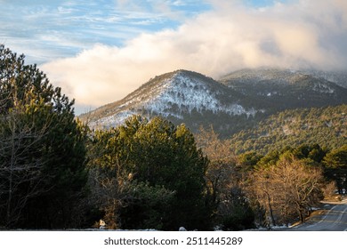 Mountain landscape with snow and pine trees at sunset in winter.Mountains in the clouds. Winter landscape with snow-capped mountains and pine trees in the foreground.  - Powered by Shutterstock