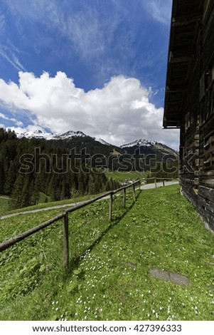 Similar – Image, Stock Photo the red window Environment