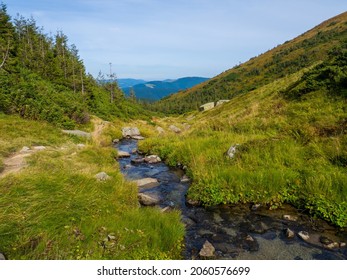 Paysage de montagne. Un ruisseau ou une eau claire et un feuillage vert. Bel champ avec une petite rivière qui traverse des collines verdoyantes recouvertes de pierres dans la vallée des Carpates, près de Hoverla.