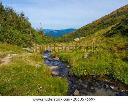 Mountain landscape. A stream or clear water and green foliage. Beautiful field with a small river flowing through green grass covered hills with big stones in Carpathian valley near Hoverla.