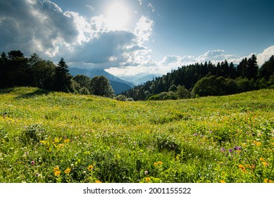 mountain landscape summer forests meadows grass flowers sky clouds mesmerizing panorama Caucasian ridge flowering greenery