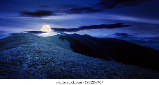 Mountain Landscape In Summer At Night. Grassy Meadows On The Hills Rolling In To The Distant Peak In Full Moon Light