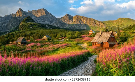 mountain landscape, Tatra mountains panorama, Poland colorful flowers and cottages in Gasienicowa valley (Hala Gasienicowa), summer - Powered by Shutterstock