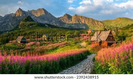 Similar – Image, Stock Photo Mountain landscape in Tatra National Park in Poland. Popular tourist attraction. Amazing nature scenery. Best famous travel locations